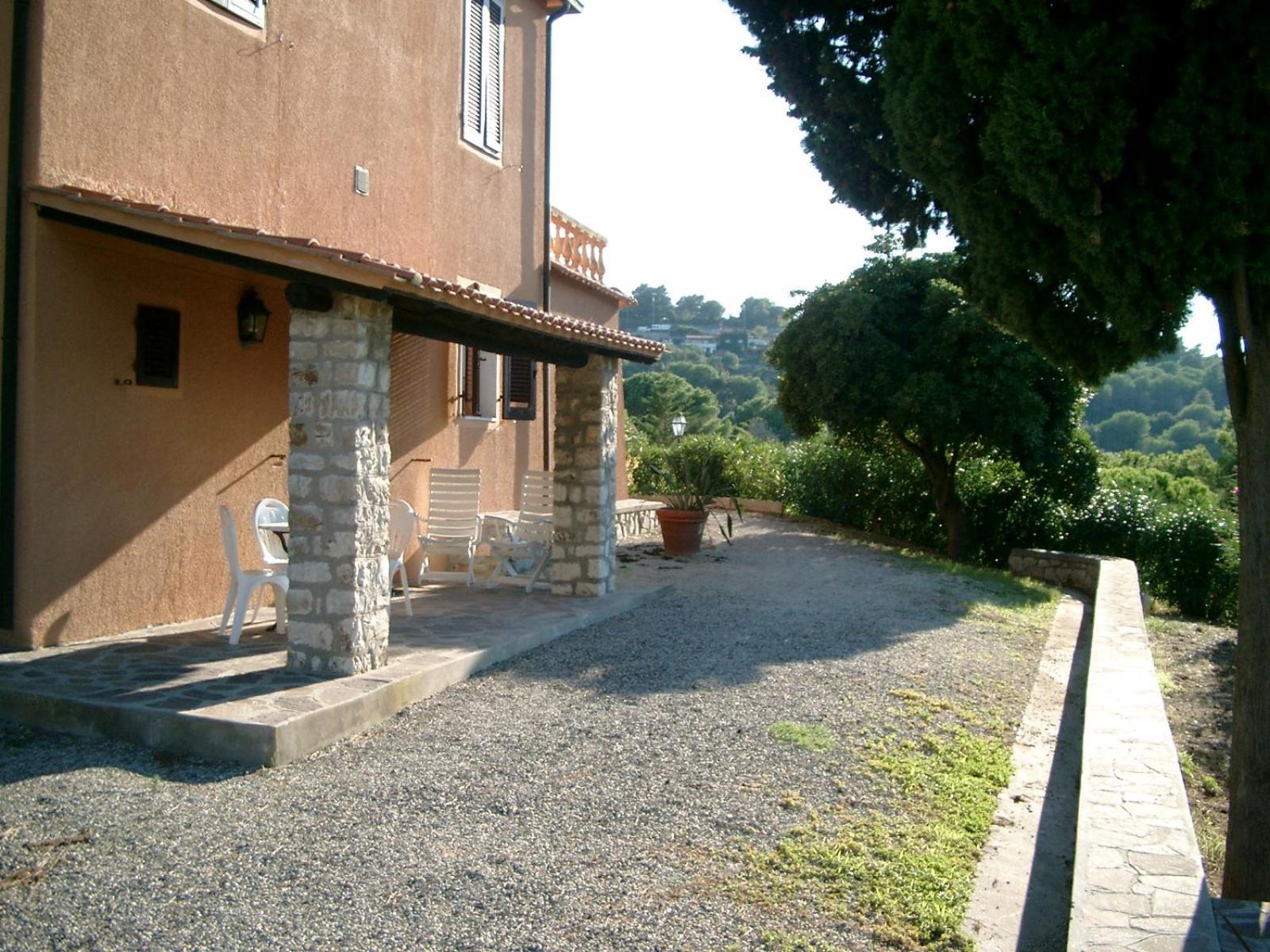 I Fiori Di Salici