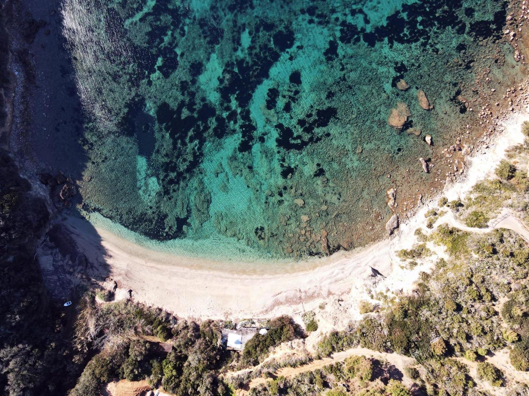 I Fiori Di Salici